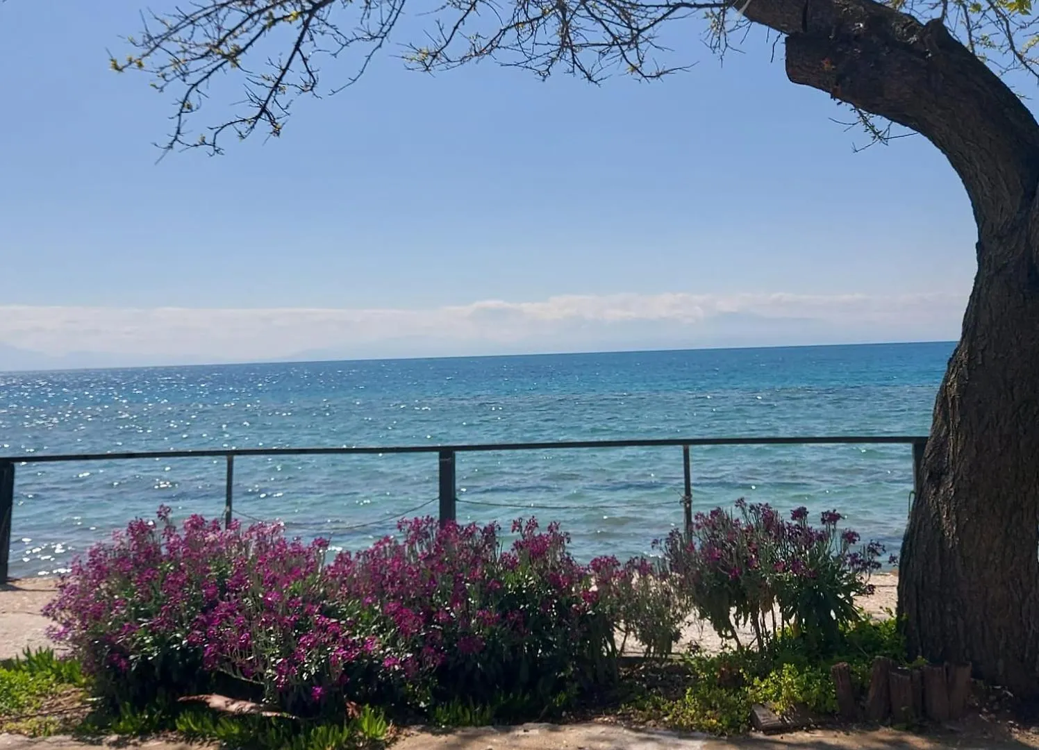 New, Nice Apartment, 50M From Sea And From Center At Nea Irakleia Apartament Nea Iraklia